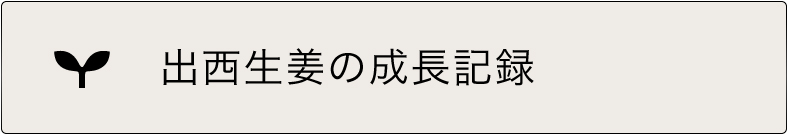 出西生姜の成長記録